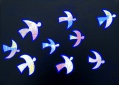 libres et légers -70x50cm