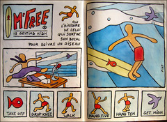 mrFREE-bdTRIPSURF95.jpg